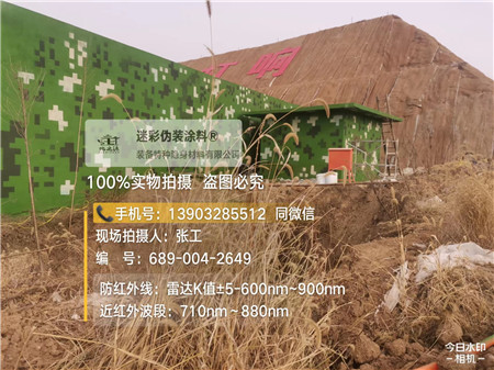 万州星空迷彩墙施工队